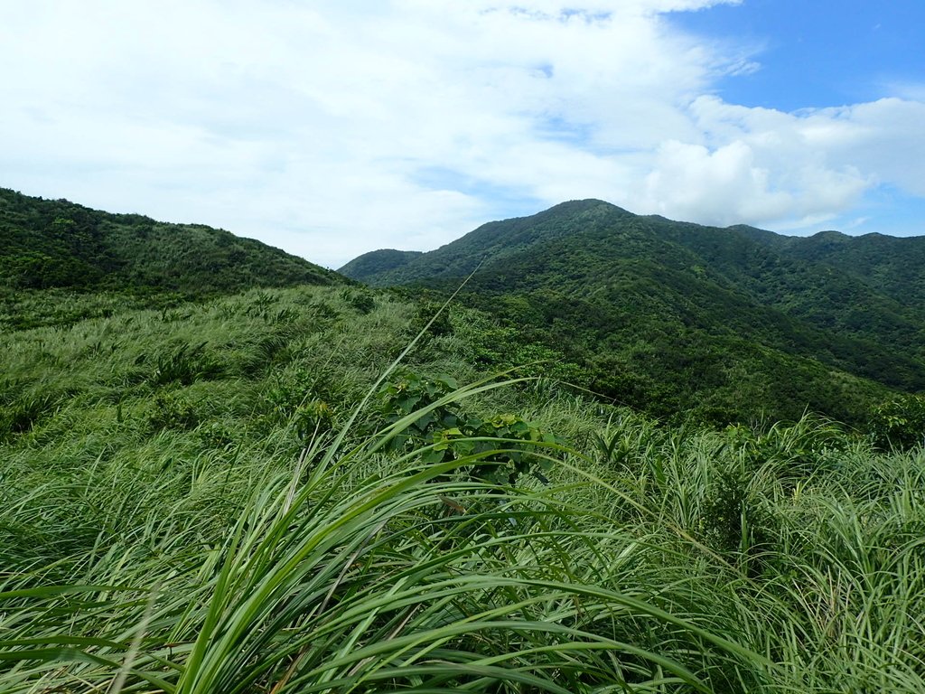 P7072290.JPG - 貢寮  蚊子坑古道  龍洞稜