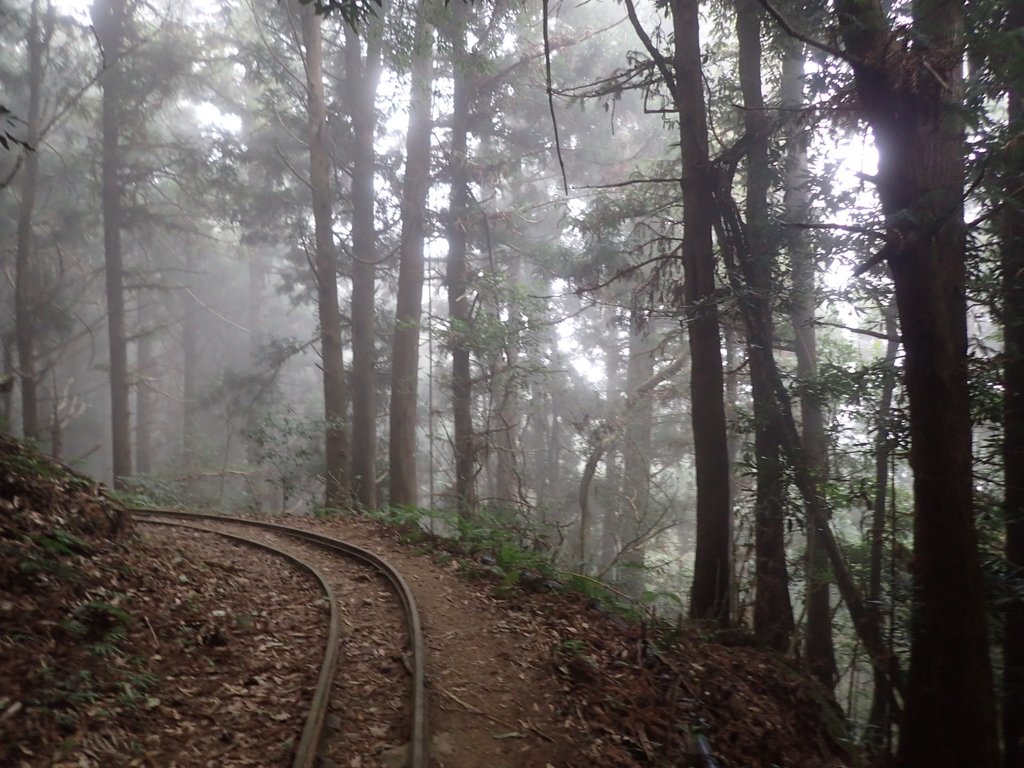 P2035028.JPG - 南庄  加里山  森林鐵道