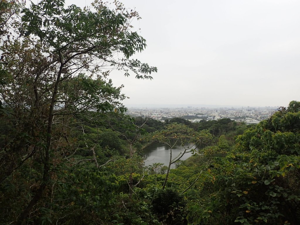 P2095039.JPG - 太平  三汀山  (望高寮)