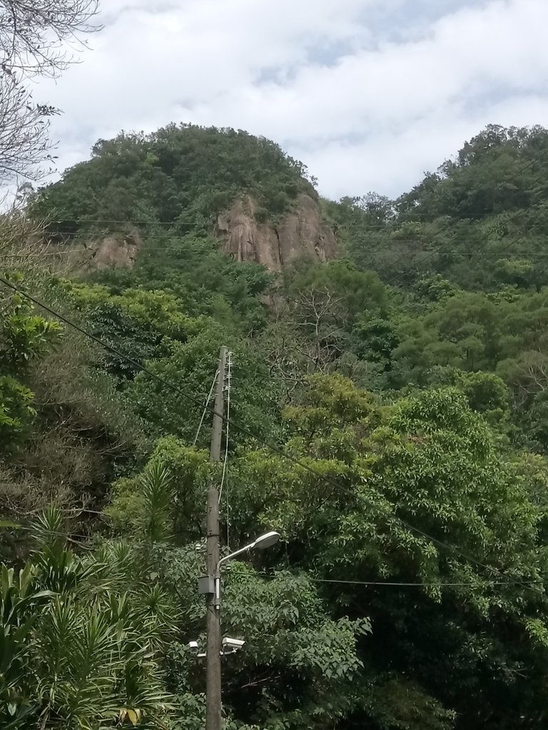 DSC_5298.JPG - 瑞芳  白象山(弘明山) 未竟