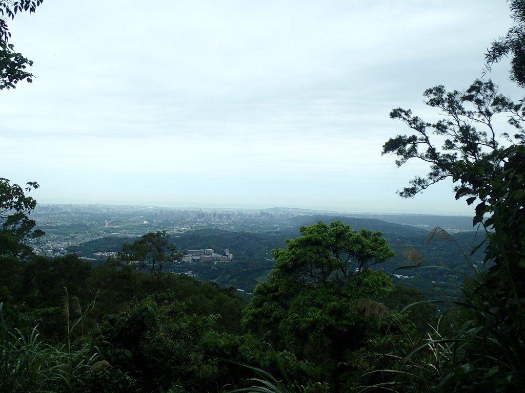 P4272124.JPG - 芎林  飛鳳山  (中坑山)