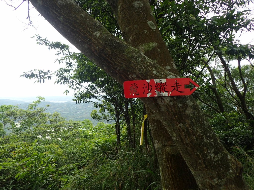 P4272152.JPG - 芎林  飛鳳山  (中坑山)