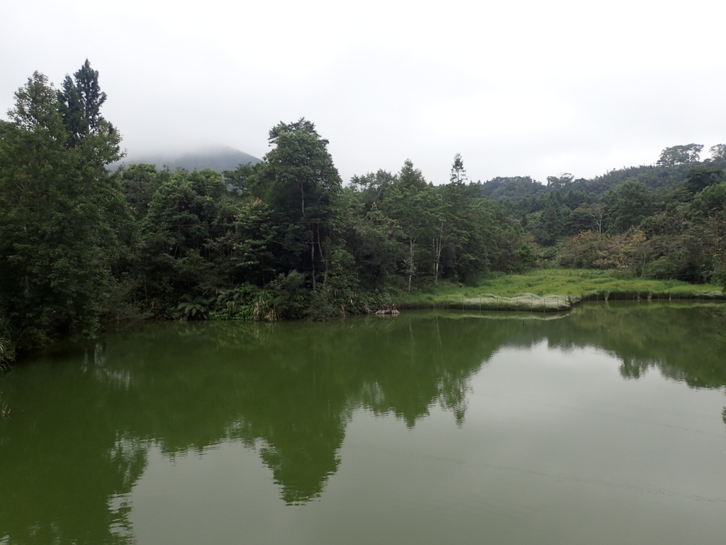 P9250253.JPG - 南庄  向天湖之  環湖步道