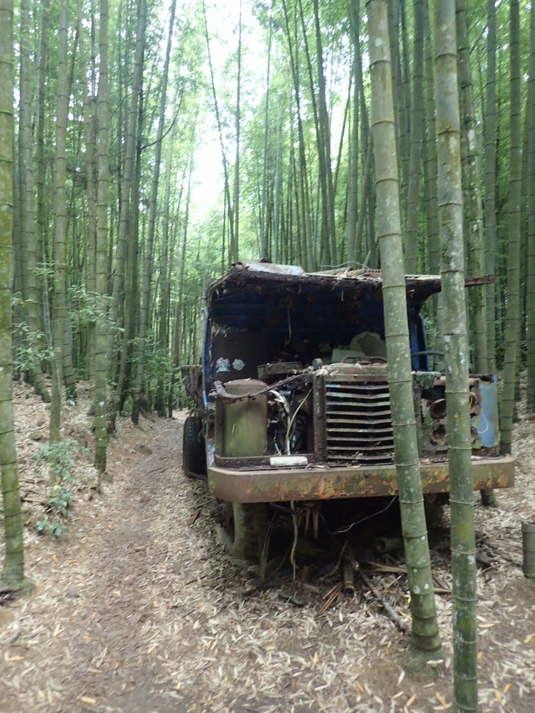 P7235899.JPG - 台中和平  長壽山登山步道  (中)