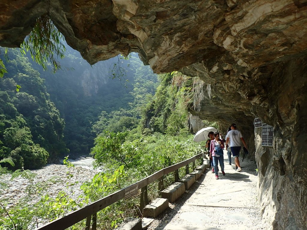 P8120261.JPG - 花蓮  秀林  砂卡噹步道