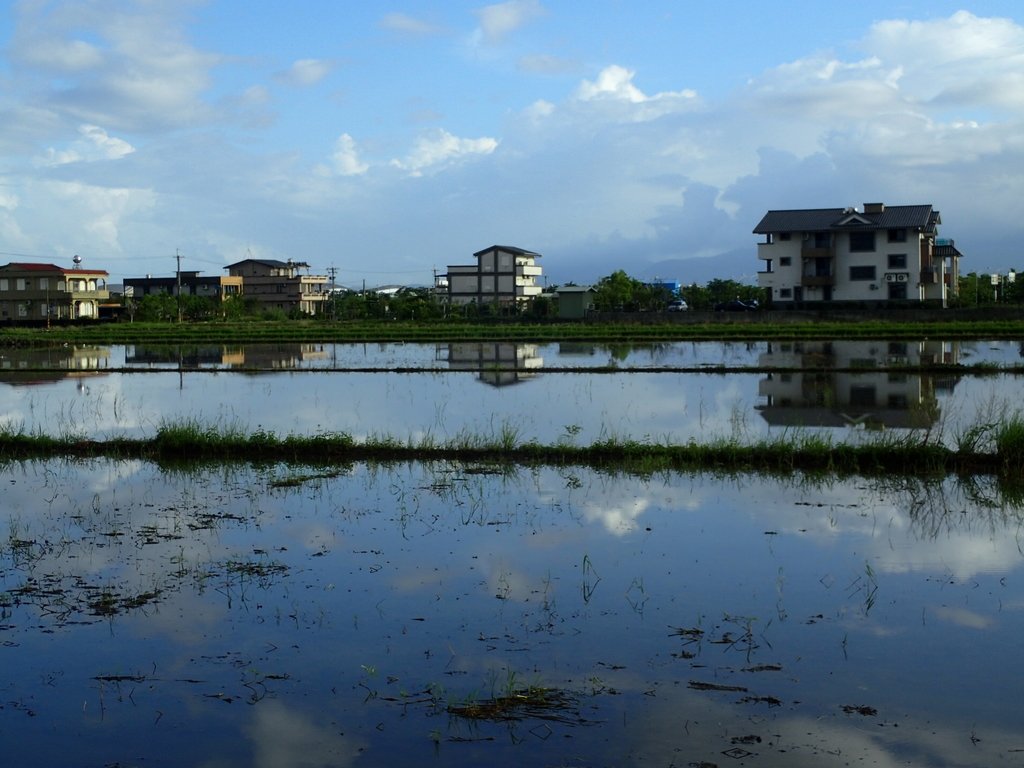 PA104178.JPG - 壯圍  竹安  水田雲影