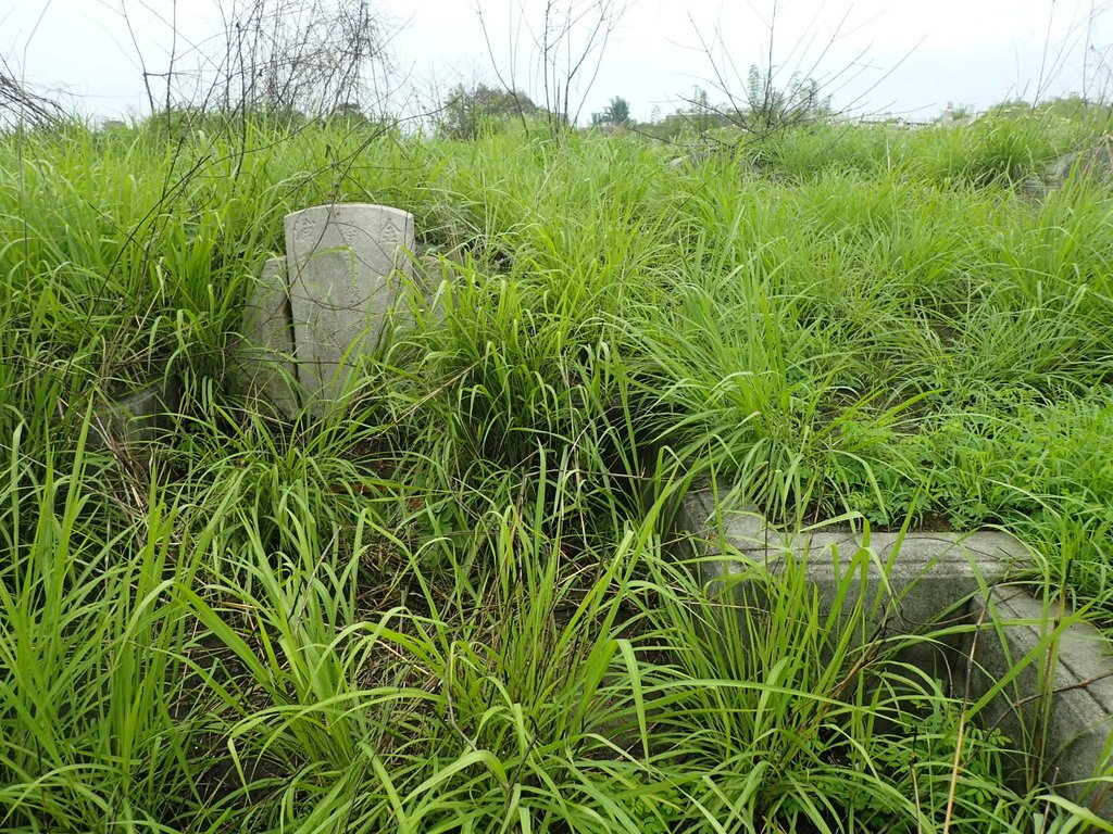 P4214453.JPG - 草屯  茄荖山  古墓踏查