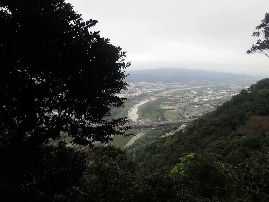 P2168059.JPG - 三峽  鳶山  (福德坑山)