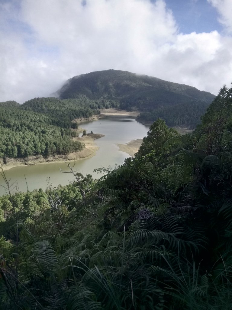 DSC_0116.JPG - 太平山  翠峰湖環山步道  01