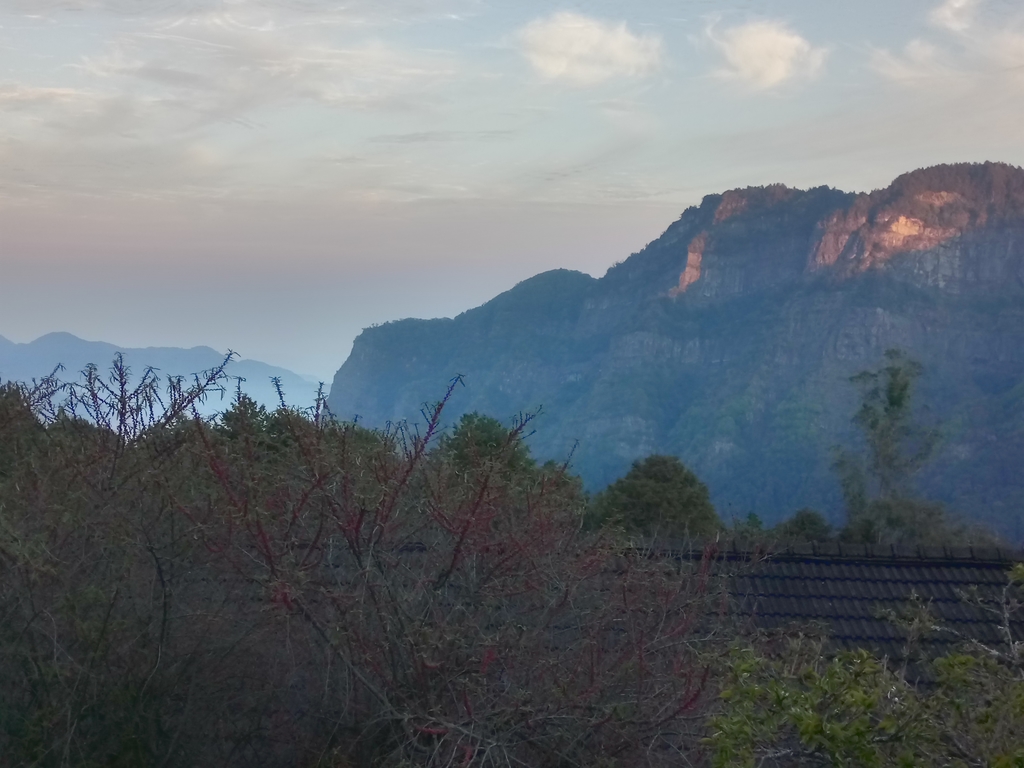 DSC_1620.JPG - 阿里山  沼平公園  賞櫻