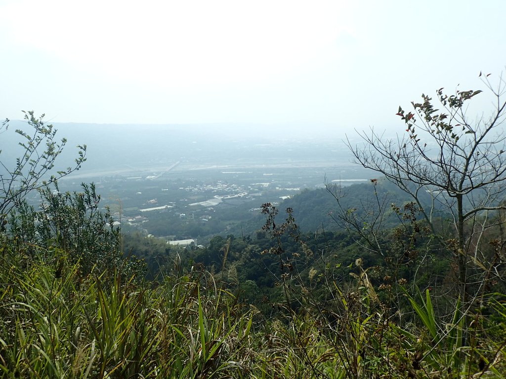 P3016089.JPG - 草屯平林  九九峰森林步道