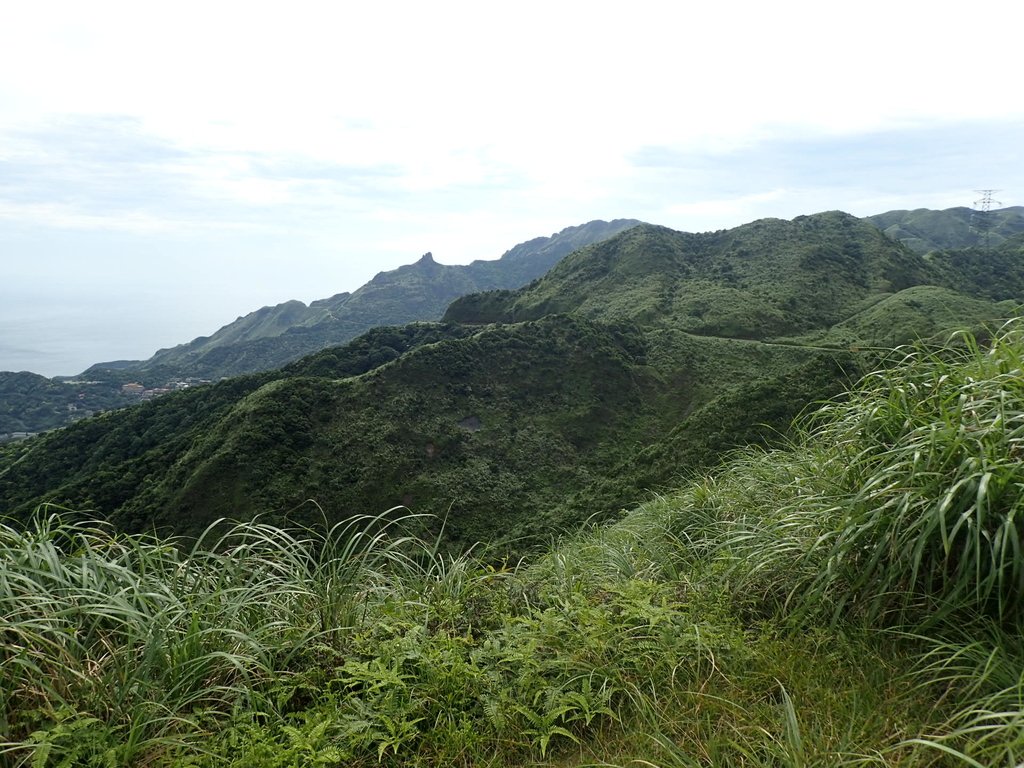 P6090250.JPG - 瑞芳  小金瓜山露頭