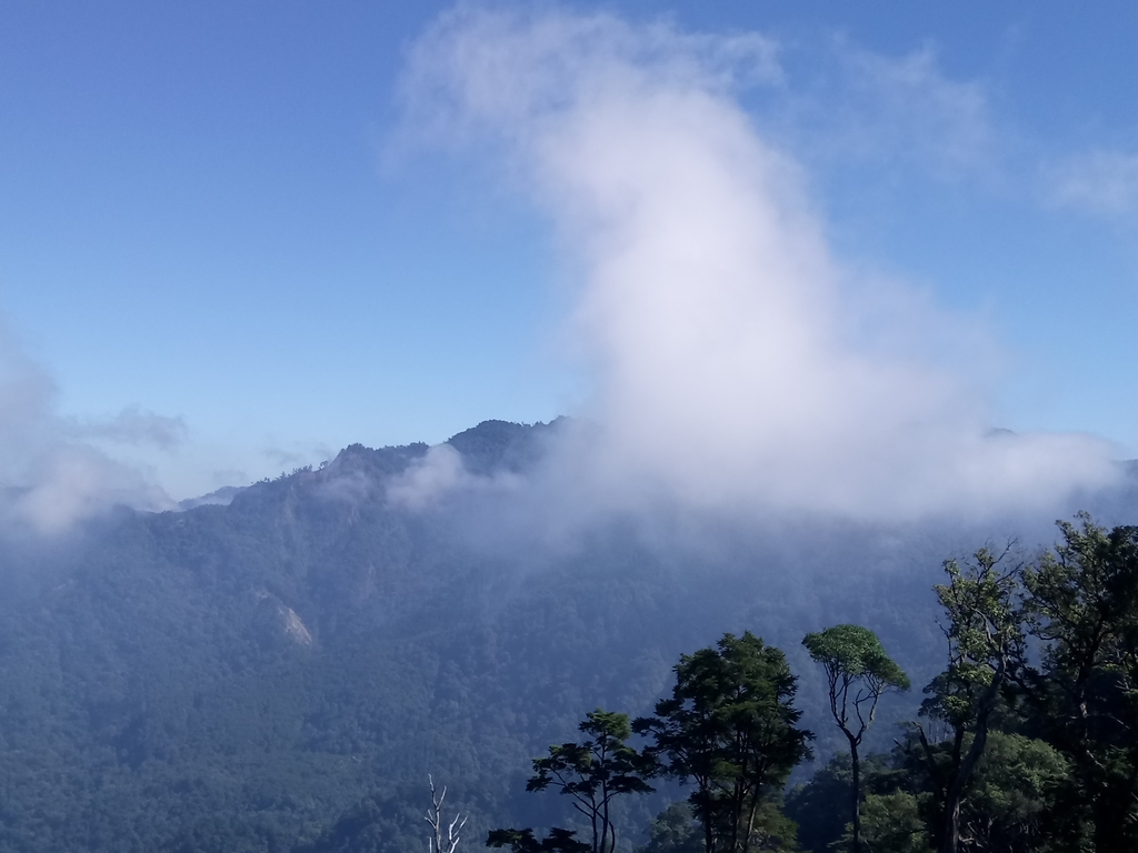 DSC_2628.JPG - 台中  和平  稍來山