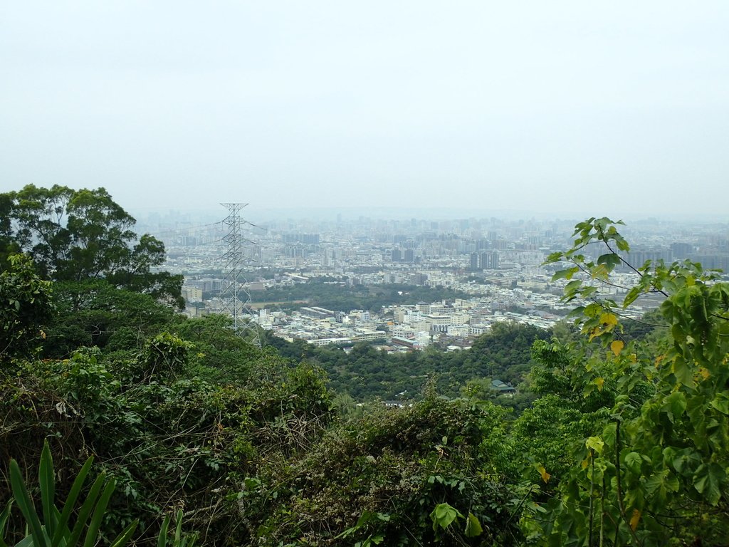 P2095049.JPG - 太平  三汀山  (望高寮)