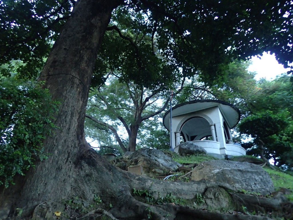 P8237209.JPG - 台中公園之  日治遺跡巡禮