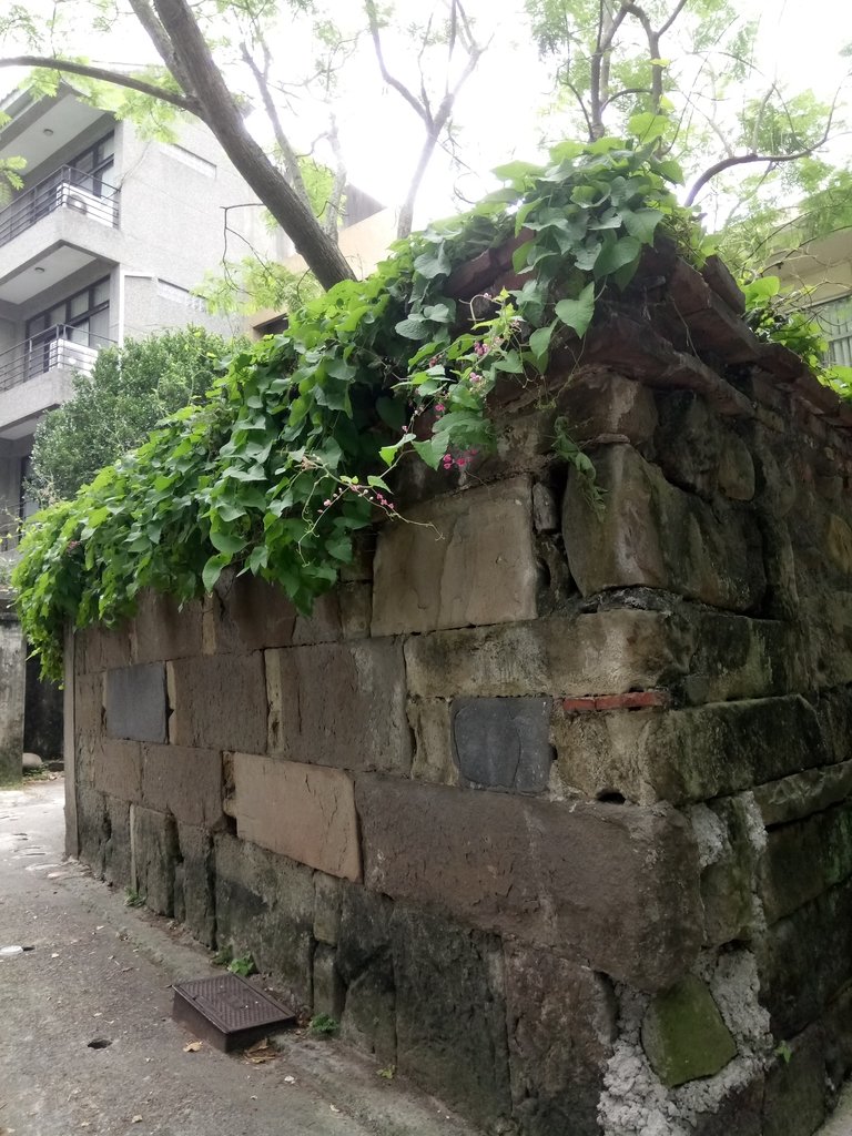 DSC_3101.JPG - 大溪  街路隨拍  (01)