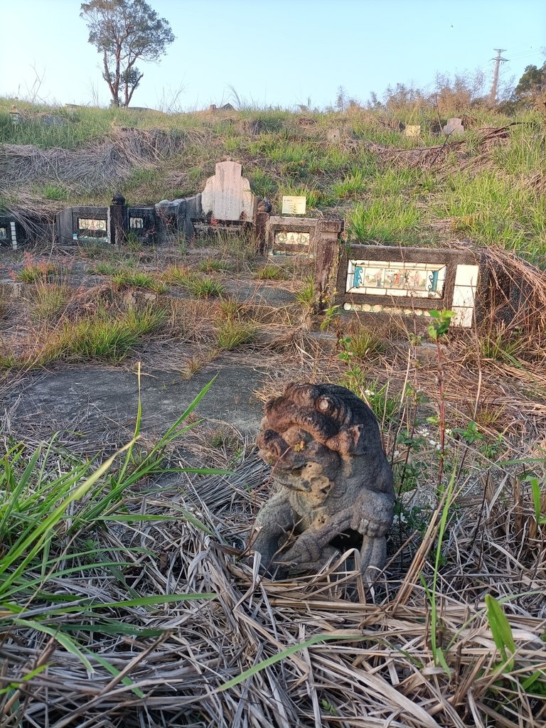 IMG20210216172112.jpg - 通霄  圳頭  庠生  湯和羹墓