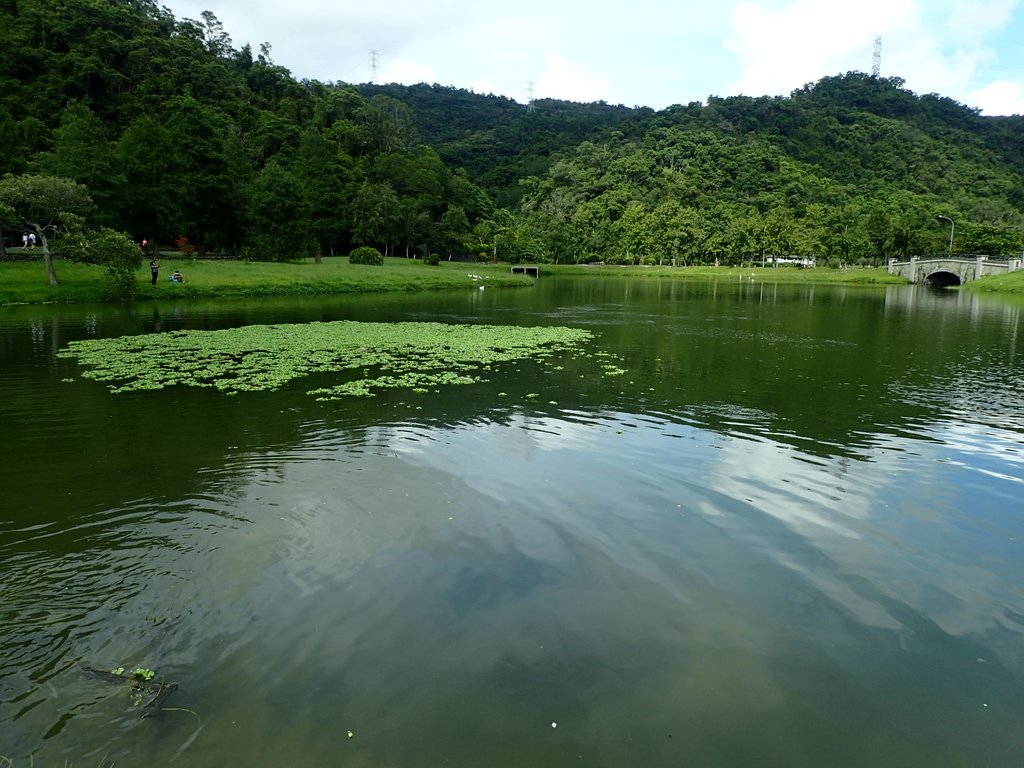 P9127800.JPG - 再訪  員山  蜊埤湖