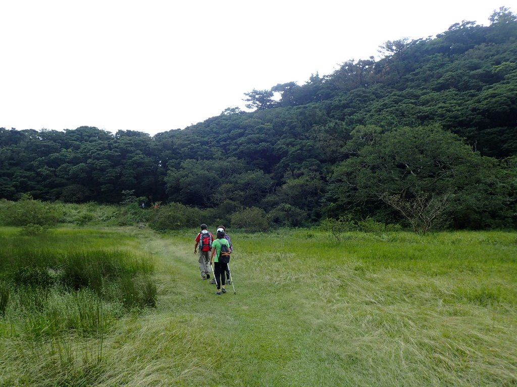 P9238227.JPG - 北投  面天山  向天湖步道