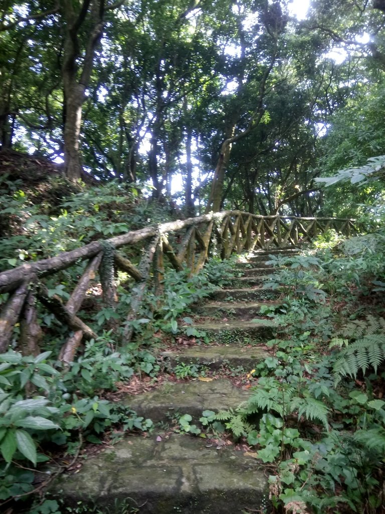 DSC_8800.JPG - 北投  中正山登山步道 03