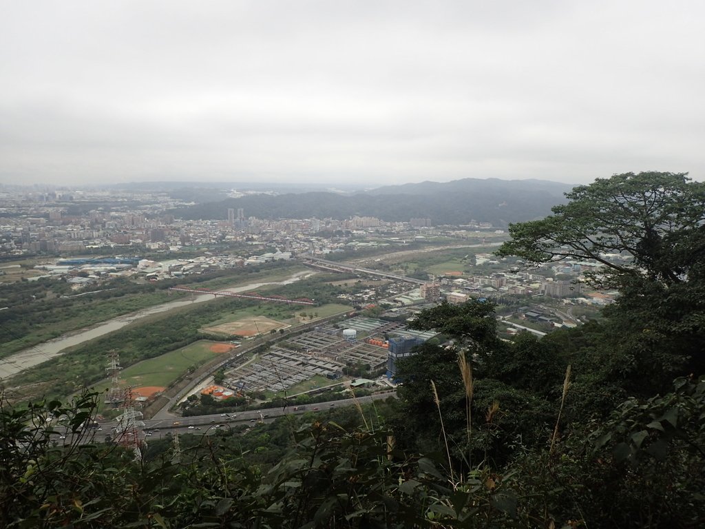 P2168072.JPG - 三峽  鳶山  (福德坑山)