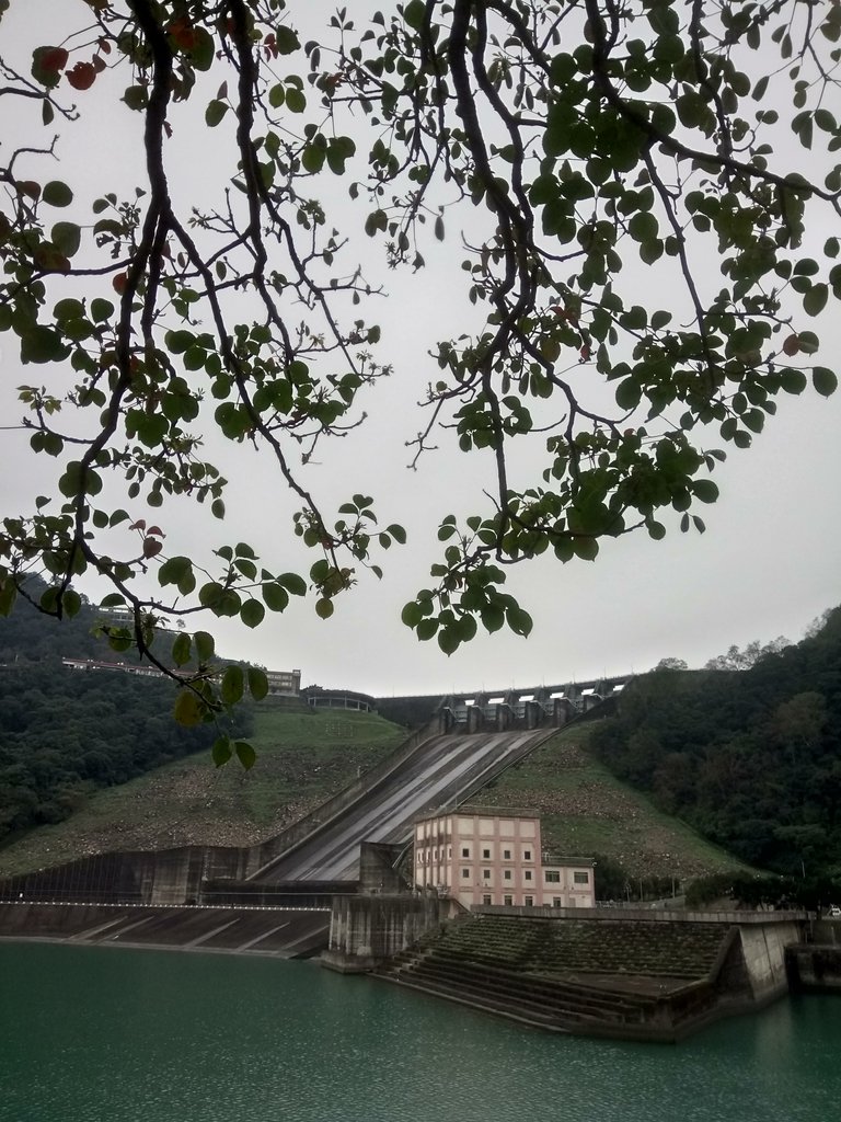 DSC_4923.JPG - 大溪  石門水庫  後池周遊