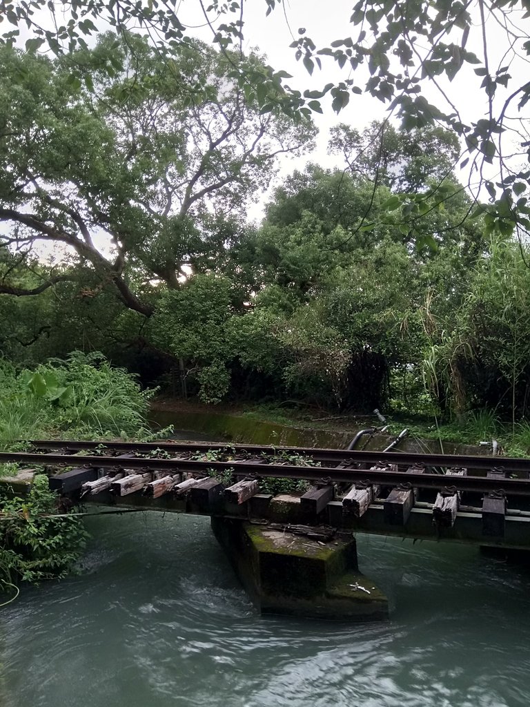 DSC_9704.JPG - 舊山線鐵道  后里圳磚橋