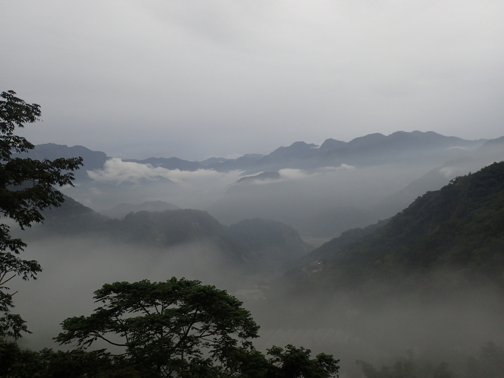 PA231906.JPG - 石壁途中之   茶山雲雨