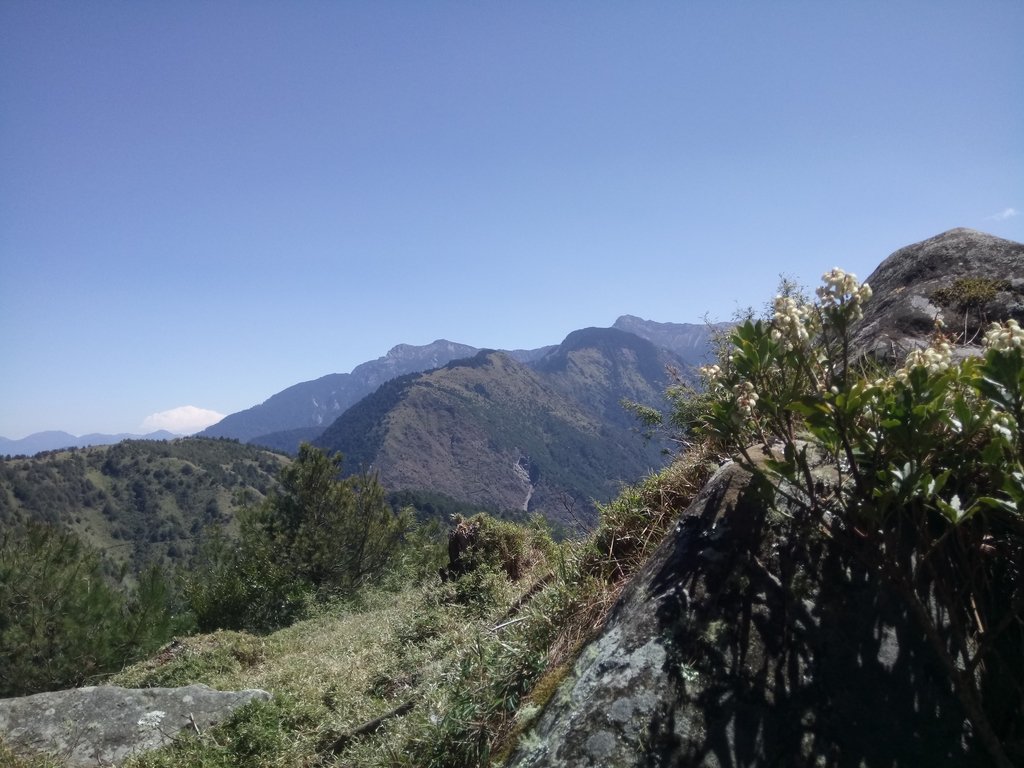 DSC_1701.JPG - 鹿林山  麟趾山步道  (02)