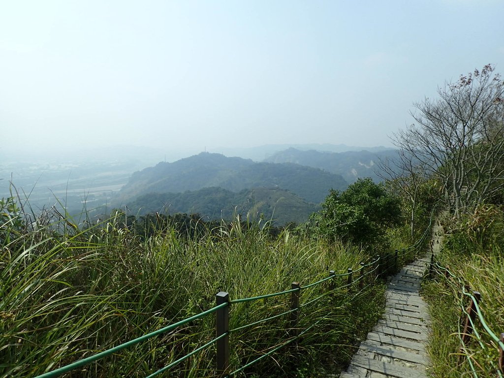 P3016097.JPG - 草屯平林  九九峰森林步道