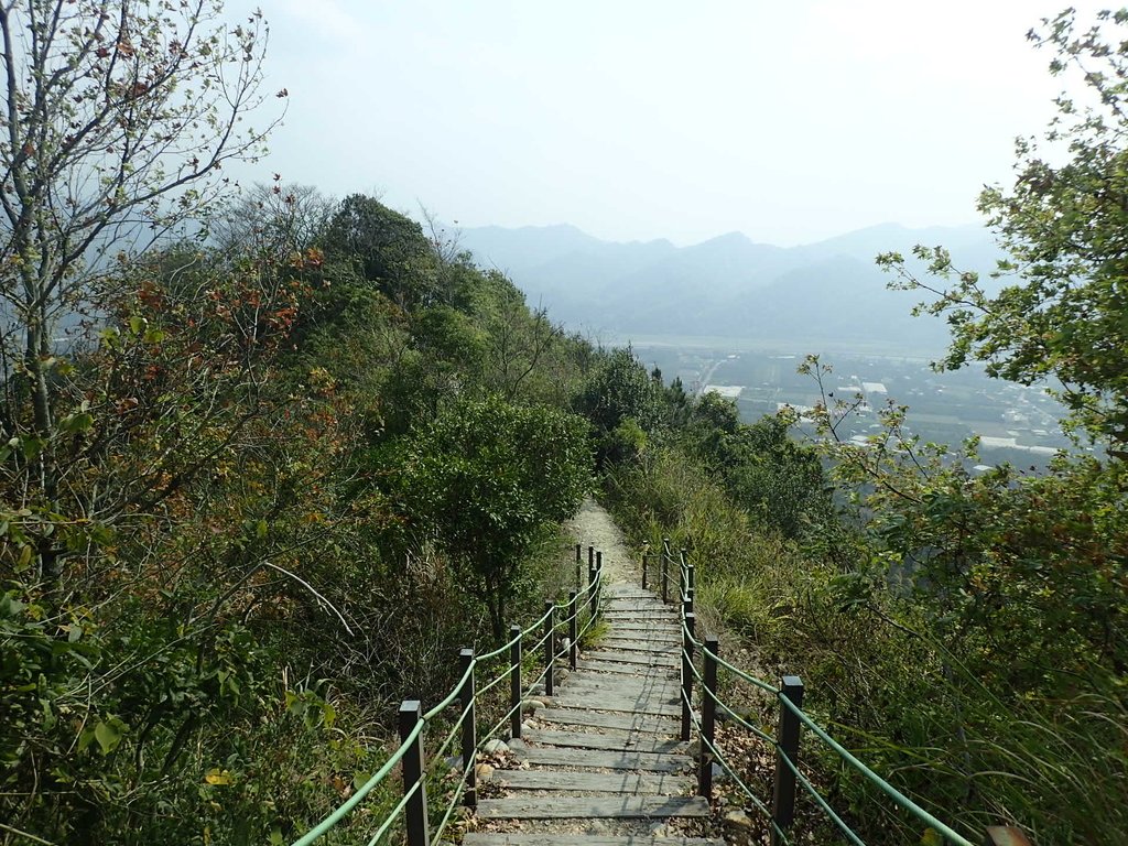 P3016094.JPG - 草屯平林  九九峰森林步道