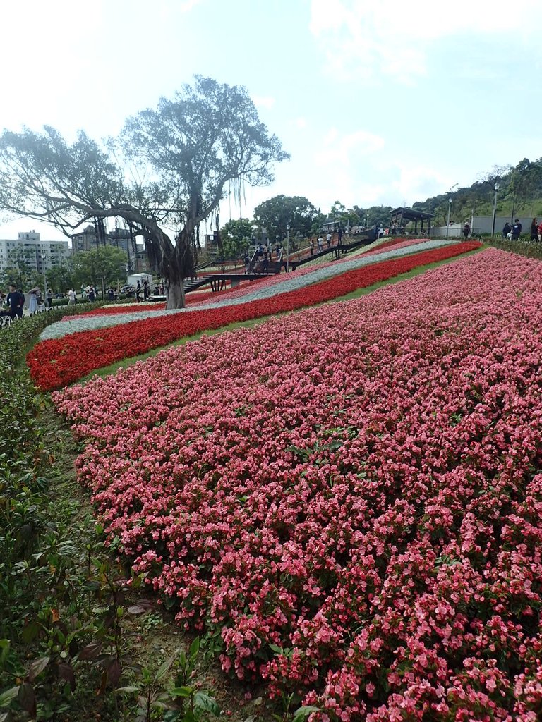 P2155446.JPG - 北投社  三層崎公園