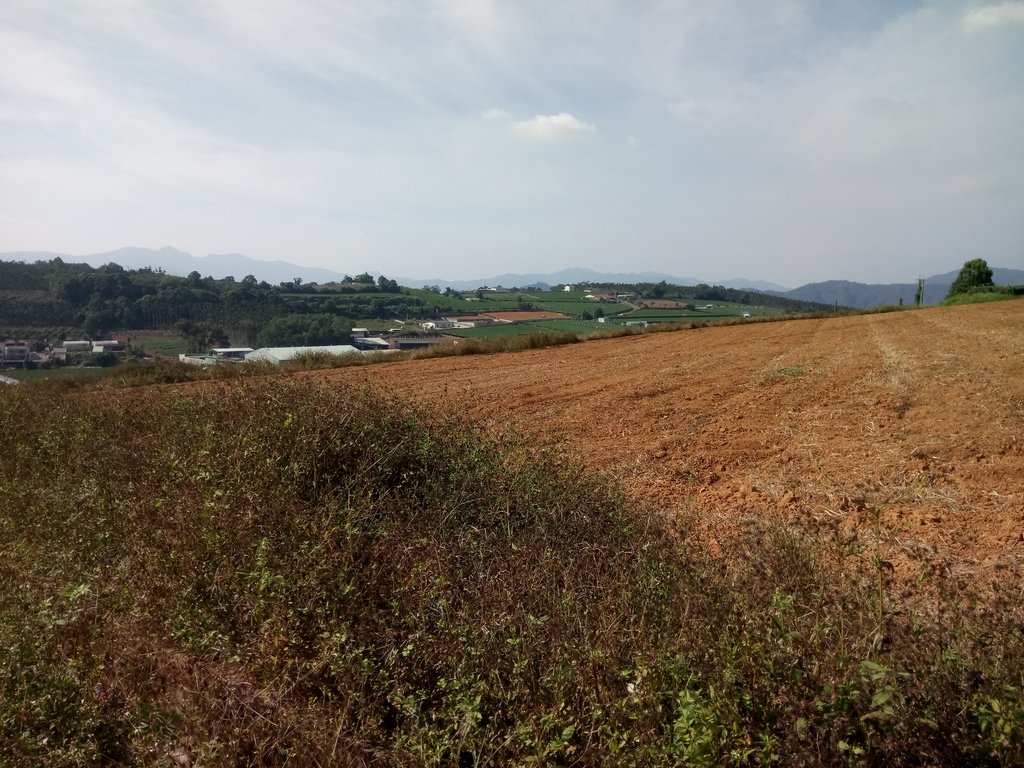 DSC_1876.JPG - 埔里  大坪頂  百香果園