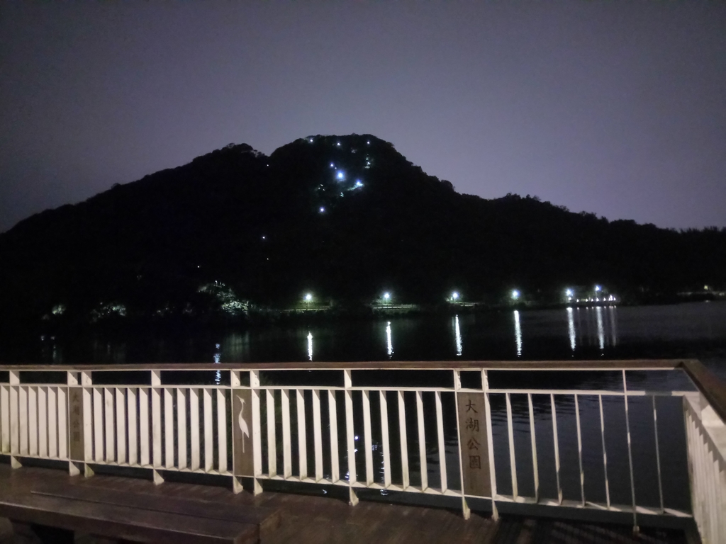 DSC_9334.JPG - 內湖  大湖公園之夜色