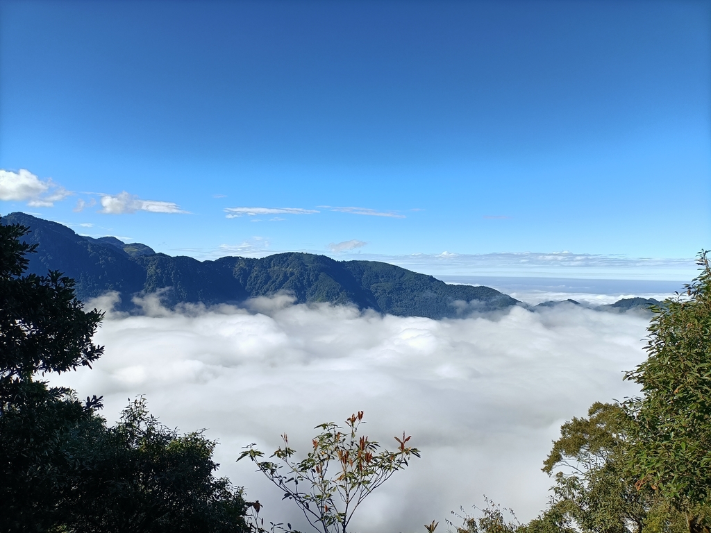 IMG20201205092247.jpg - 鹿谷  溪頭  南鳳凰山