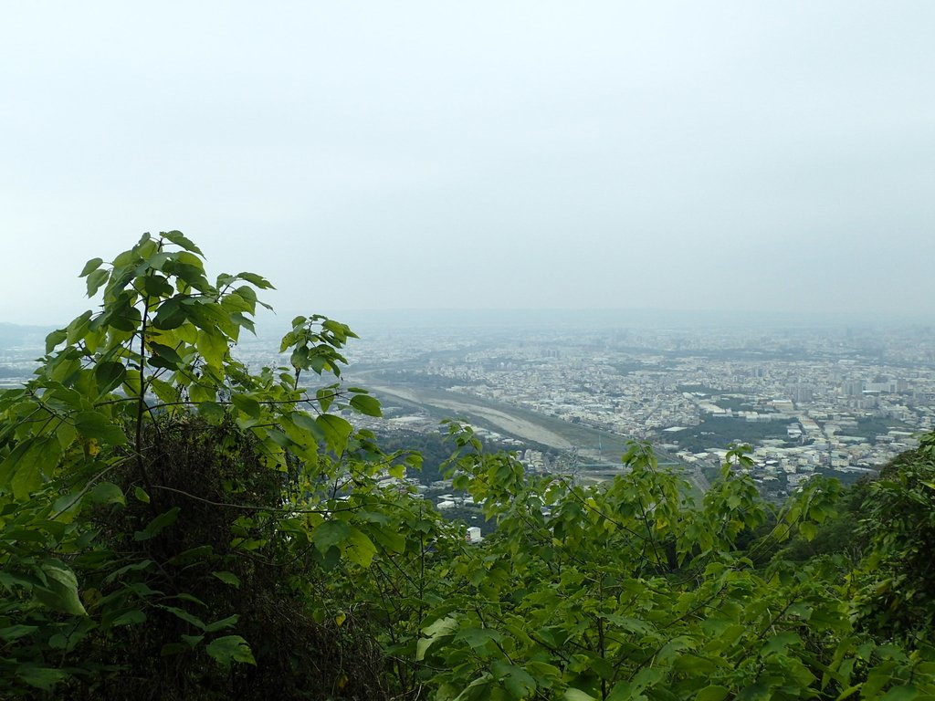 P2095051.JPG - 太平  三汀山  (望高寮)