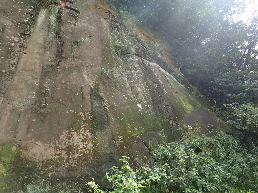 P2145366.JPG - 瑞芳  白象山(弘明山) 未竟