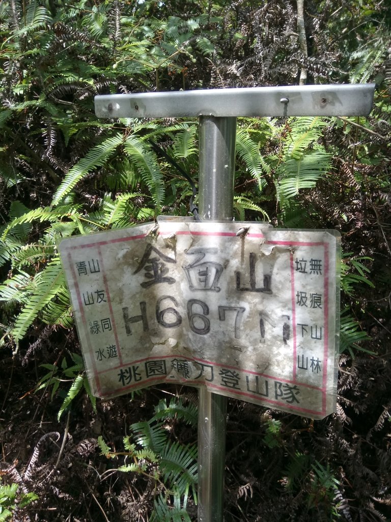 DSC_2988.JPG - 大溪  金面山登山步道