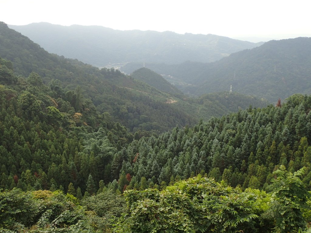 P9250277.JPG - 南庄  向天湖之  環湖步道