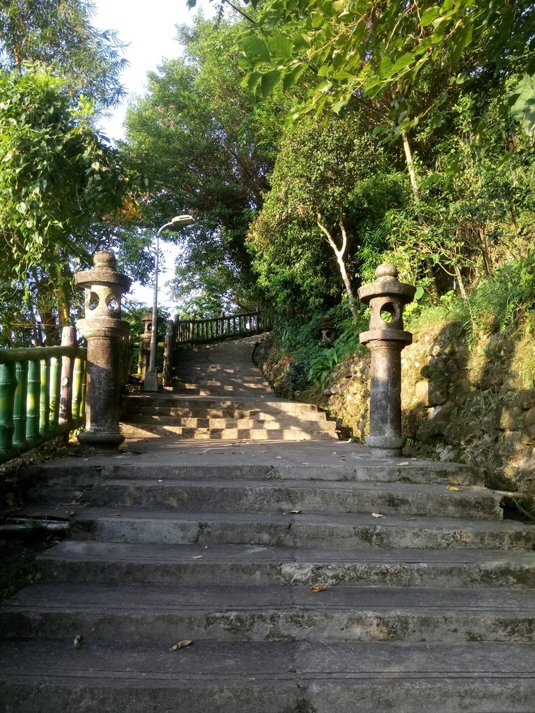 DSC_2667.JPG - 景美  仙跡岩親山步道