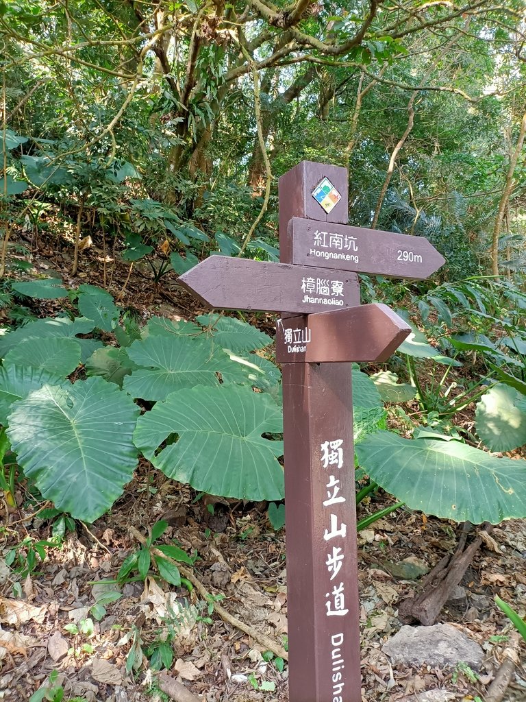 IMG20210130104507.jpg - 竹崎  獨立山登山步道