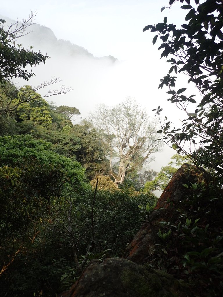 P4036913.JPG - 五峰  鵝公髻山登山步道  (02)