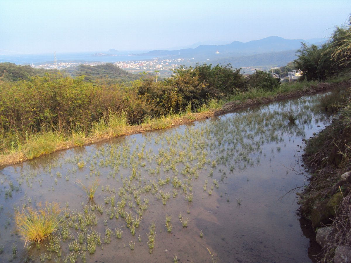 DSC09076.JPG - 金山  葵扇湖田野風光(二) 