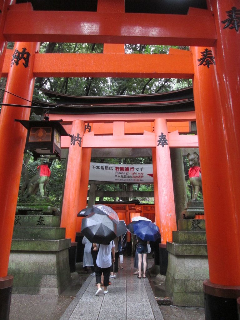 IMG_3689.JPG - 伏見稻荷神社  千本鳥居