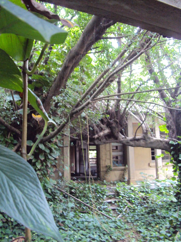 DSC01291.JPG - 鹿港  菜園  金銀廳