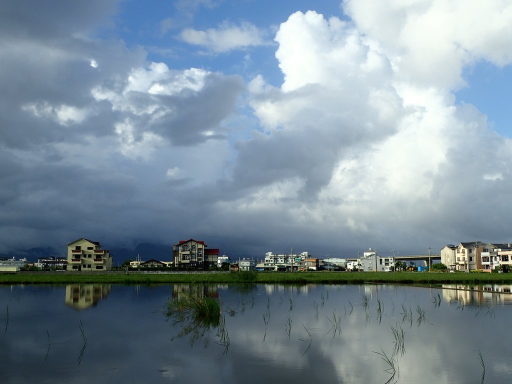 PA104184.JPG - 壯圍  竹安  水田雲影