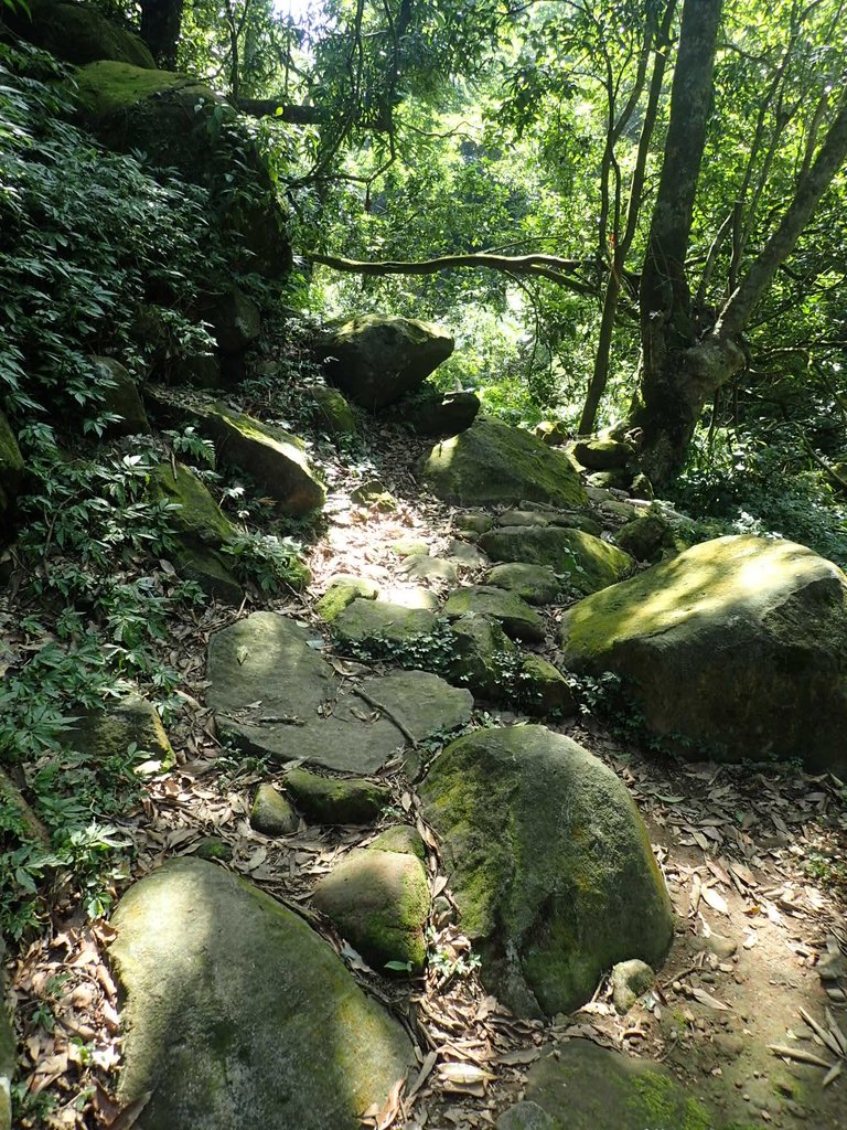 P7296085.JPG - 金山  竹子山古道  阿里磅瀑布