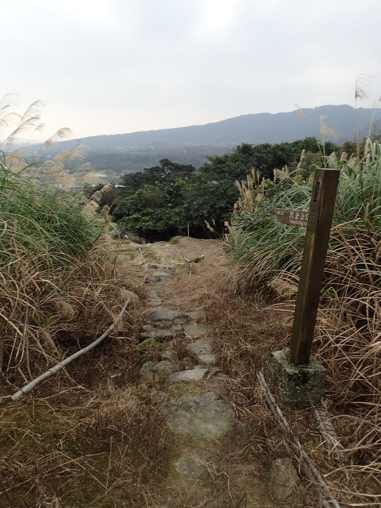 P1263956.JPG - 金山  大路崁古道