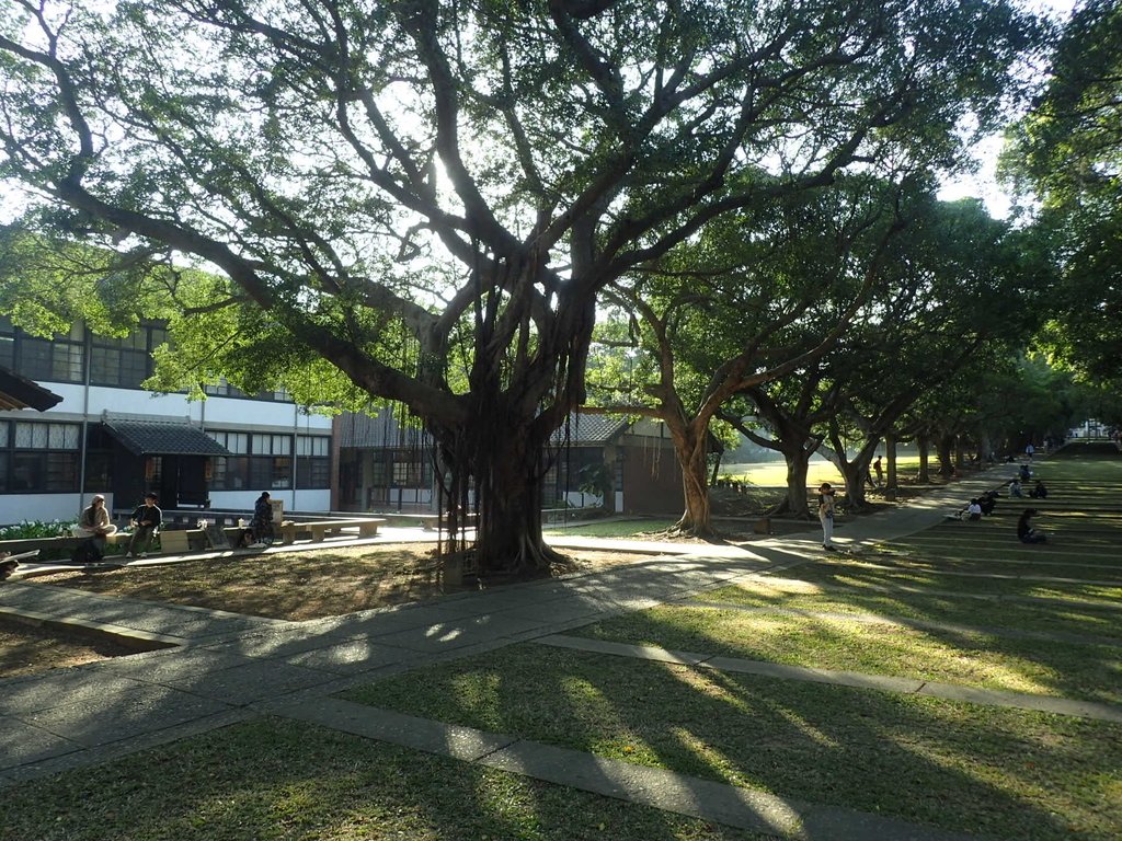 PA246571.JPG - 台中  東海大學校園巡禮