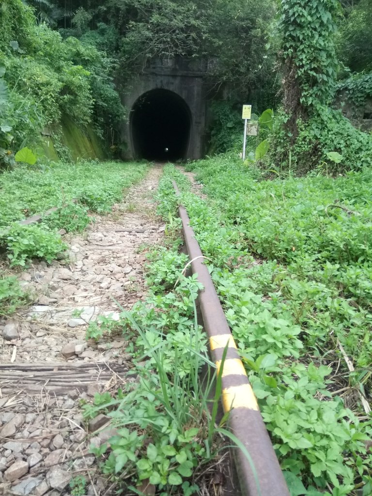 DSC_9708.JPG - 舊山線鐵道  后里圳磚橋